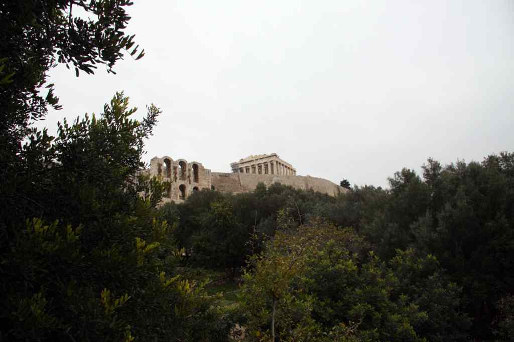 * Image 35