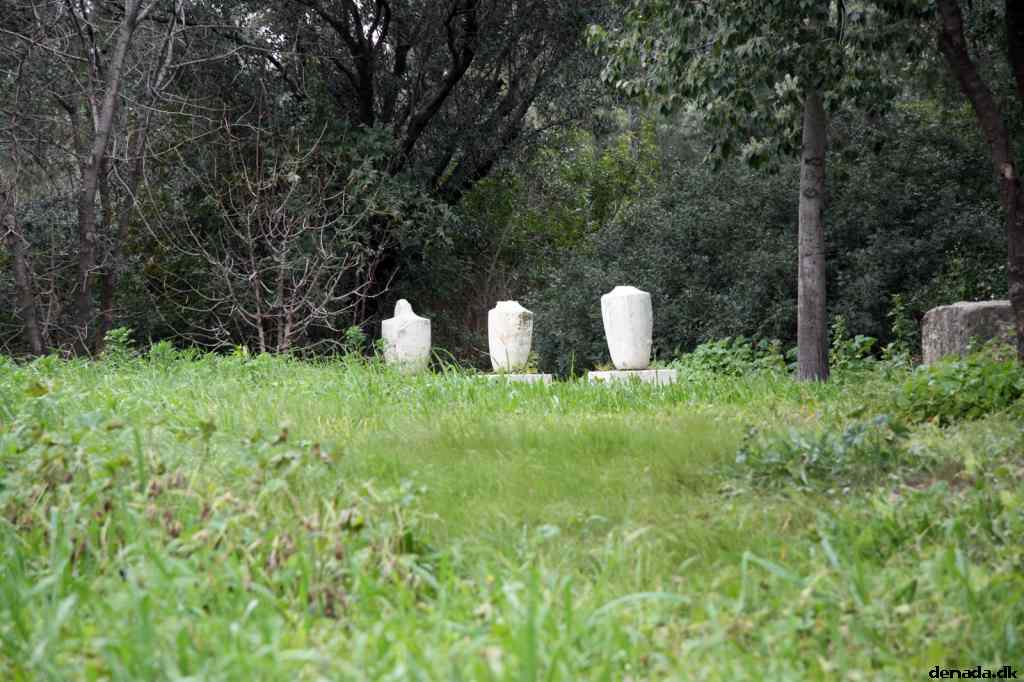 * Image 193