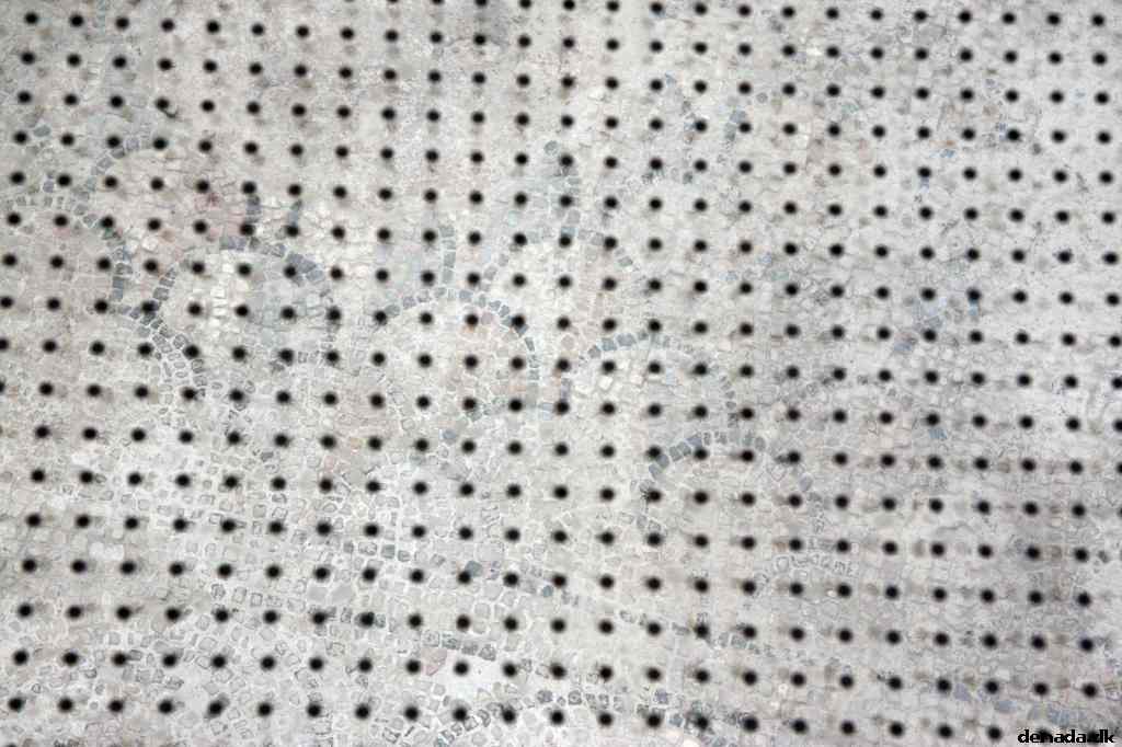 * Image 218