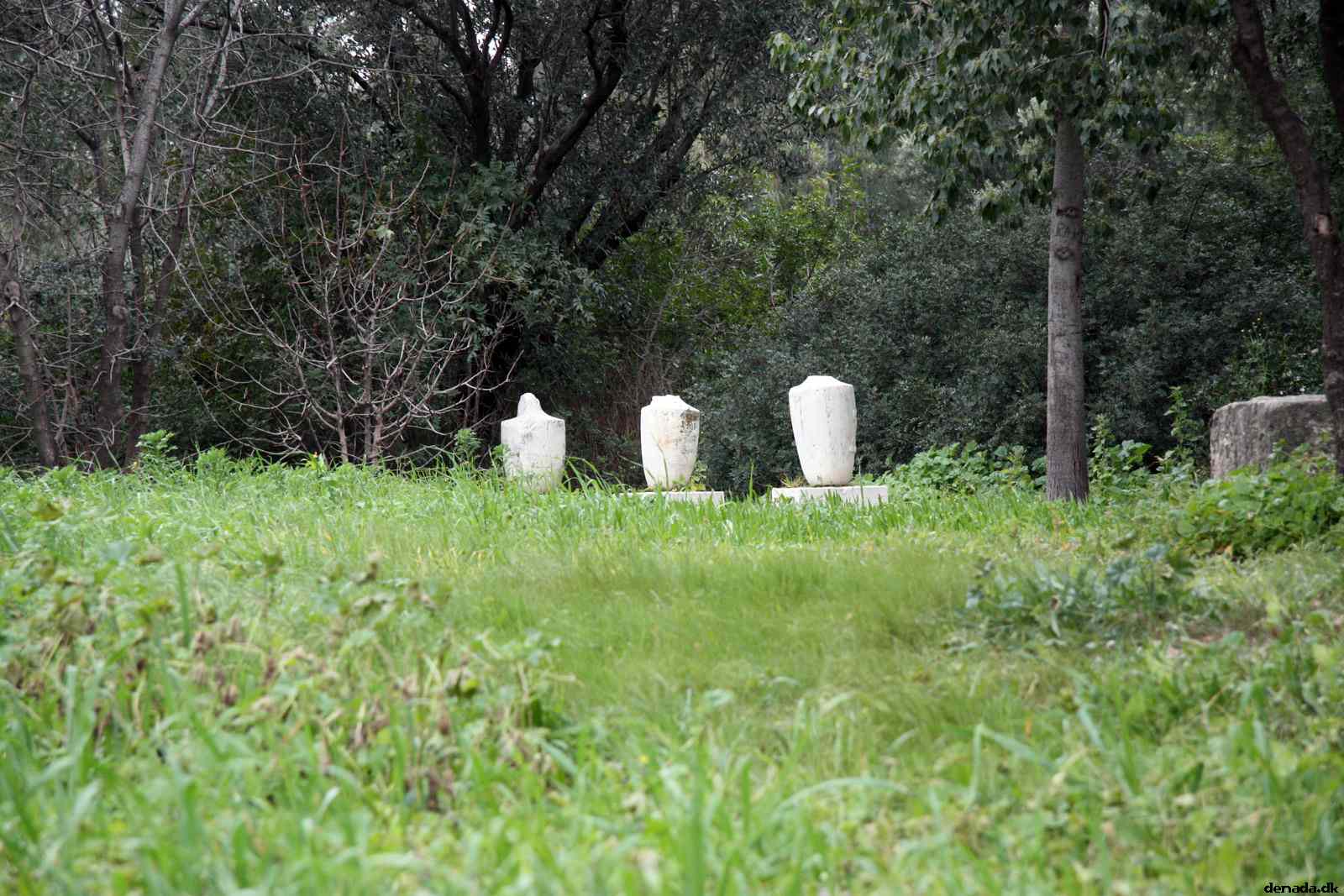 * Image 193