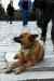 201001270476m.jpg - 2010:01:27 09:17:39