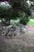 201001270632m.jpg - 2010:01:27 12:50:50