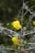 201001270668m.jpg - 2010:01:27 13:26:26