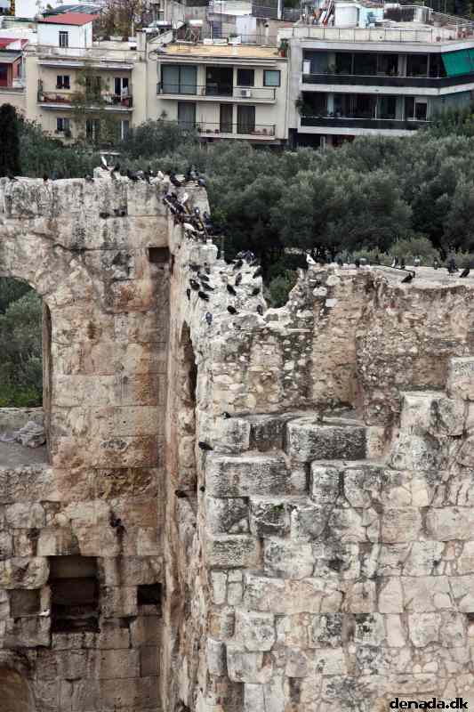 * Image 44
