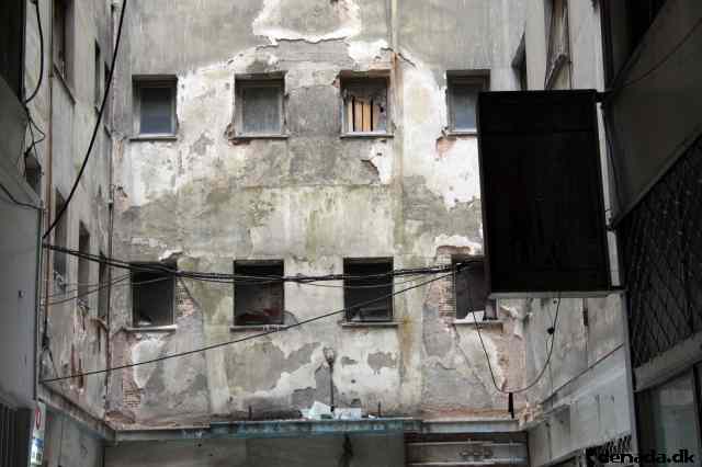 * Image 11