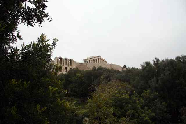 * Image 35