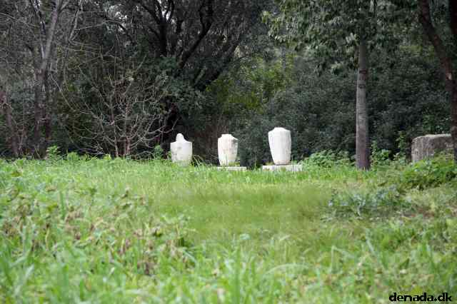 * Image 193