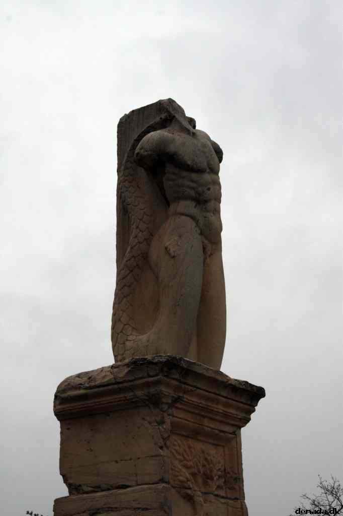 * Image 161