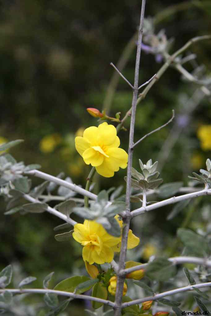 * Image 192