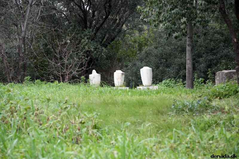 * Image 193