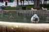 201001280726m.jpg - 2010:01:28 09:07:08
