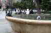 201001280727m.jpg - 2010:01:28 09:07:15