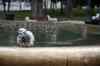 201001280728m.jpg - 2010:01:28 09:07:28
