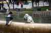 201001280730m.jpg - 2010:01:28 09:07:45