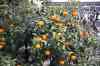 201001280731m.jpg - 2010:01:28 09:08:14