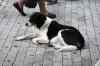 201001280735m.jpg - 2010:01:28 09:24:00