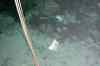 201001280777m.jpg - 2010:01:28 11:51:41