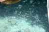 201001280778m.jpg - 2010:01:28 11:51:47