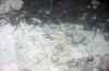 201001280782m.jpg - 2010:01:28 11:51:50