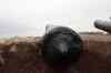 201001280795m.jpg - 2010:01:28 11:58:09