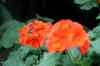 201001280819m.jpg - 2010:01:28 12:22:50