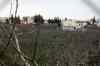 201001280838m.jpg - 2010:01:28 12:35:41