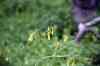 201001280851m.jpg - 2010:01:28 12:47:03