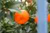 201001280859m.jpg - 2010:01:28 12:53:59
