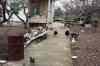 201001280869m.jpg - 2010:01:28 13:06:21