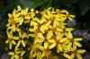 201001280875m.jpg - 2010:01:28 13:11:48