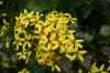 201001280876m.jpg - 2010:01:28 13:11:53