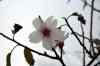 201001280880m.jpg - 2010:01:28 13:29:48