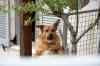 201001280882m.jpg - 2010:01:28 13:32:19