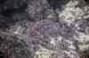 201001280894m.jpg - 2010:01:28 13:48:02