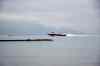 201001280943m.jpg - 2010:01:28 14:50:48