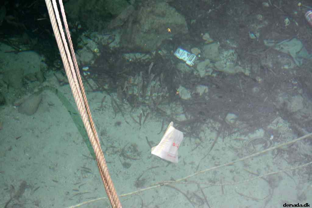 * Image 41