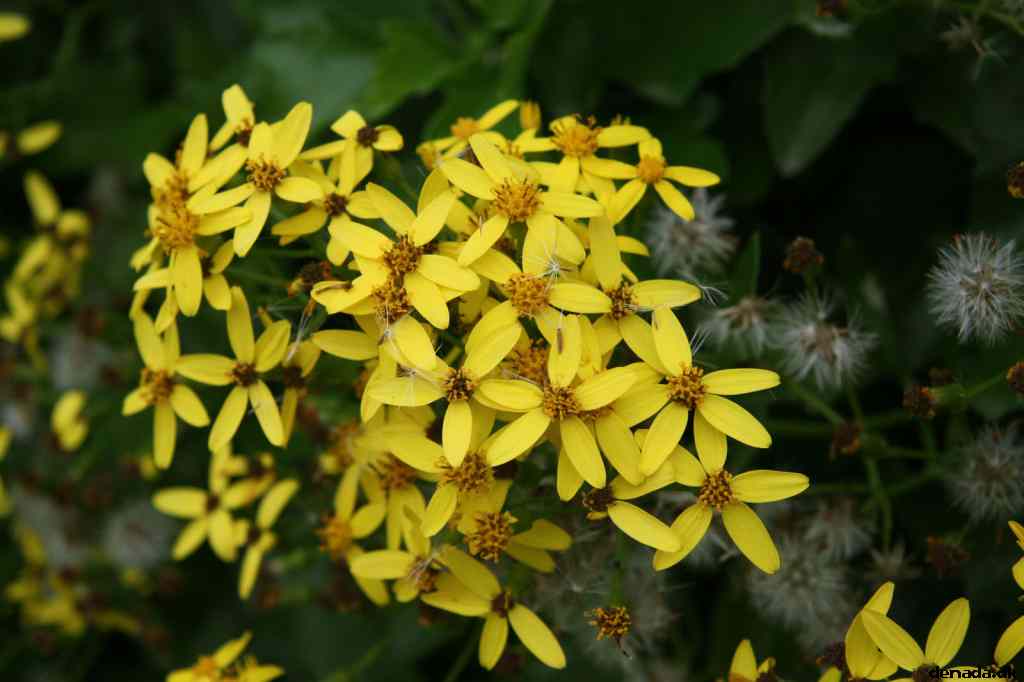 * Image 116