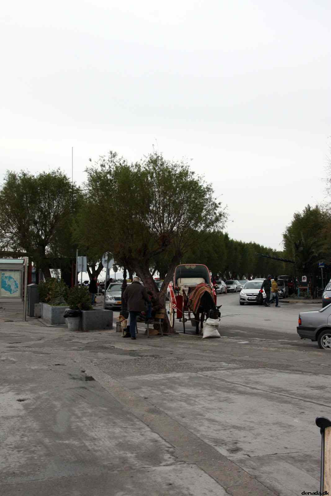 * Image 39
