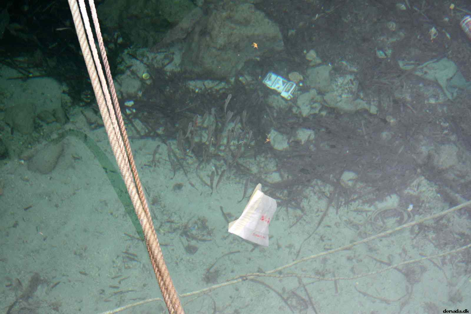 * Image 41