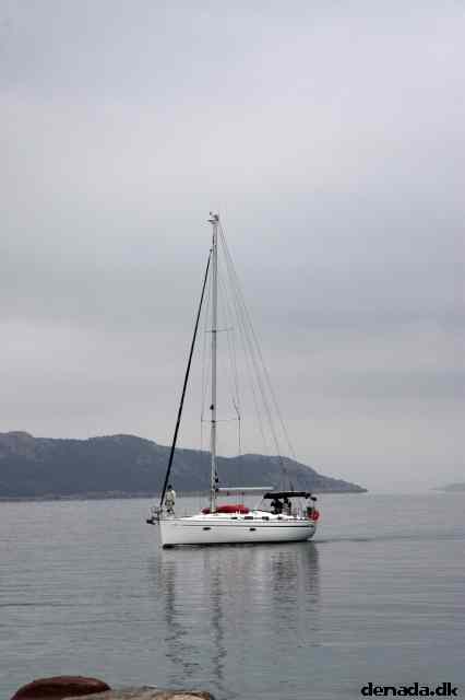 * Image 49