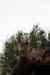 201001280772m.jpg - 2010:01:28 11:47:56