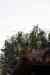 201001280773m.jpg - 2010:01:28 11:47:57