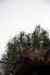 201001280774m.jpg - 2010:01:28 11:48:07