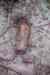 201001280784m.jpg - 2010:01:28 11:52:19