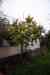 201001280831m.jpg - 2010:01:28 12:30:58
