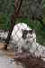 201001280840m.jpg - 2010:01:28 12:36:22