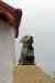 201001280848m.jpg - 2010:01:28 12:43:06
