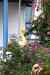 201001280849m.jpg - 2010:01:28 12:44:47