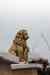 201001280858m.jpg - 2010:01:28 12:53:35