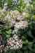 201001280864m.jpg - 2010:01:28 13:02:07